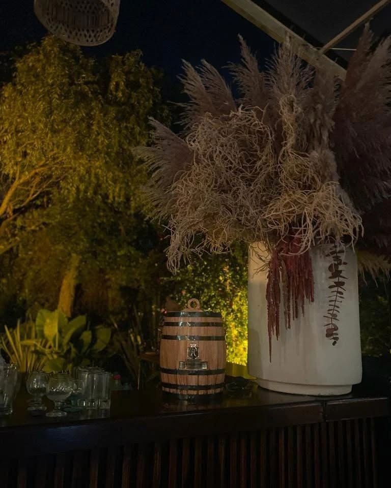 Experiencia Virreyes